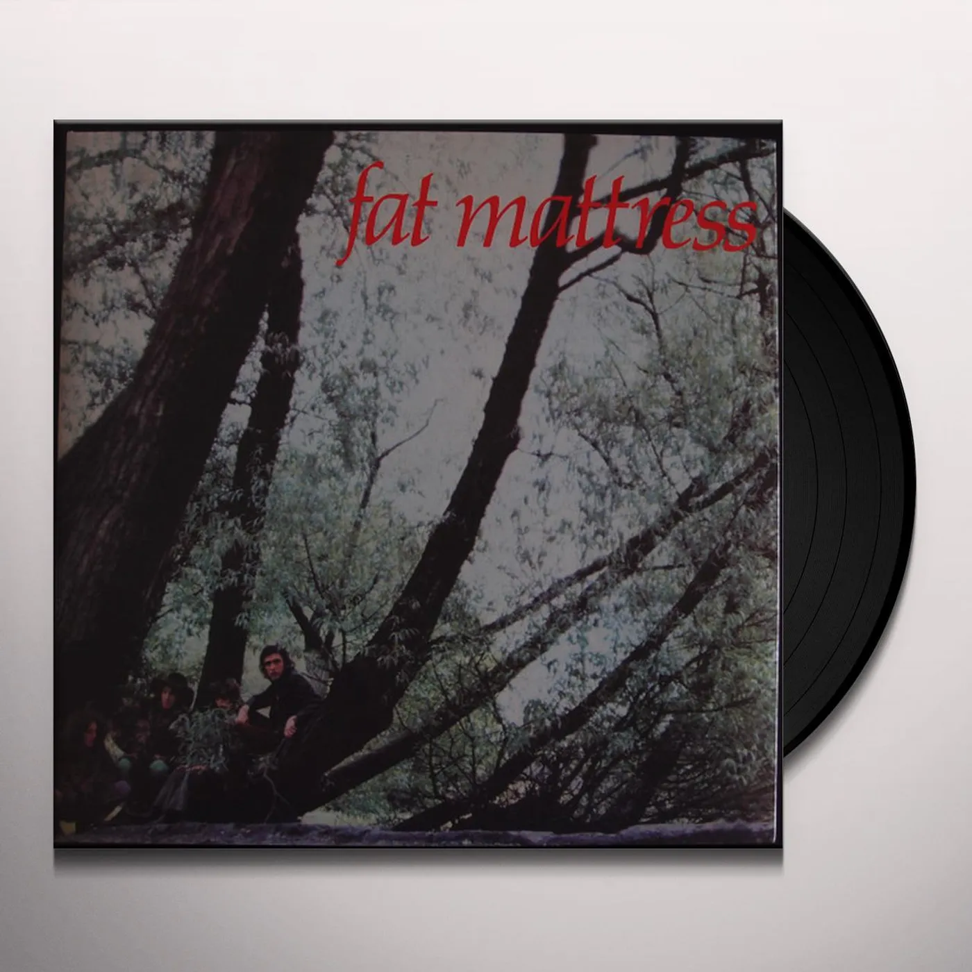 Fat Mattress Vinyl Record