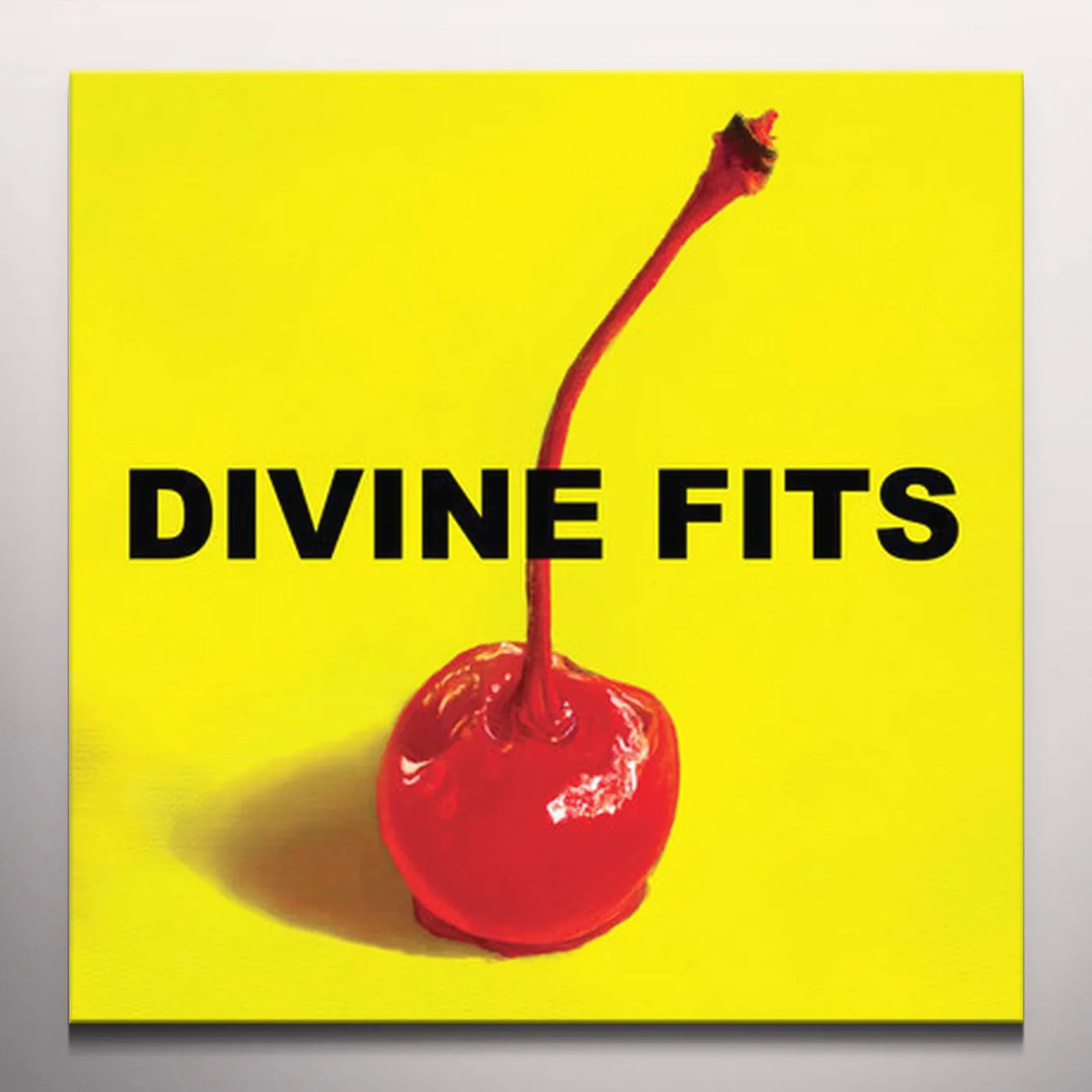 THING CALLED DIVINE FITS Vinyl Record