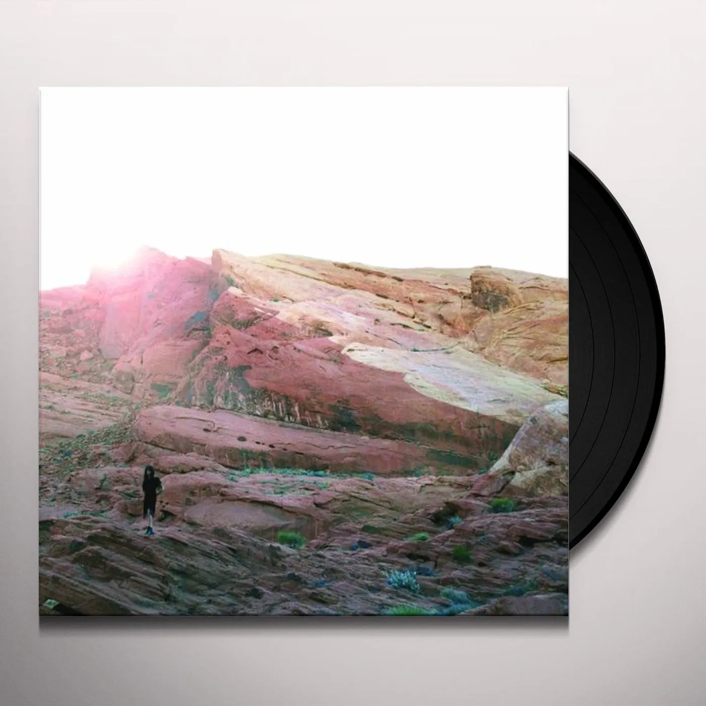 Tamaryn WAVES Vinyl Record