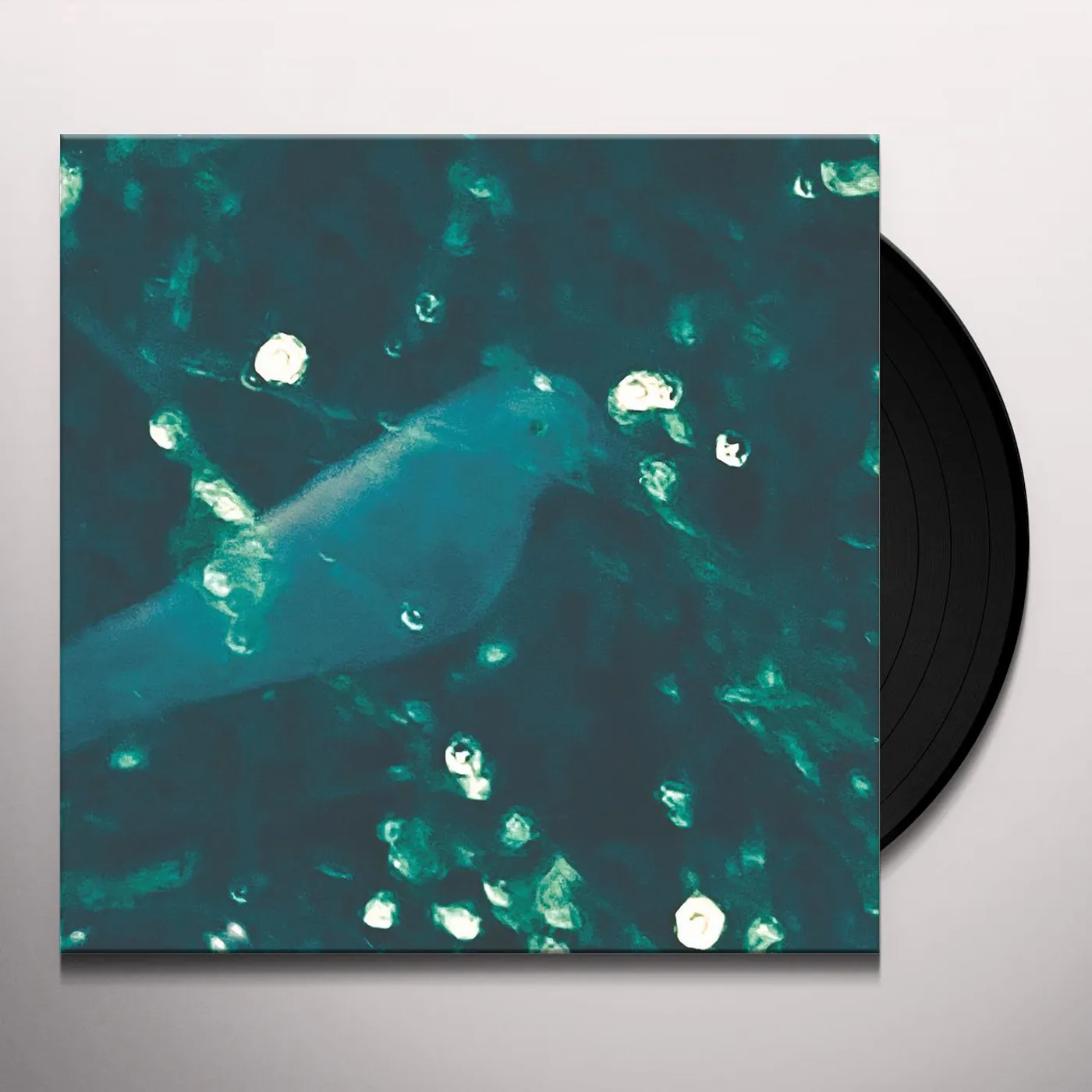 Doug Wieselman WA-ZOH Vinyl Record