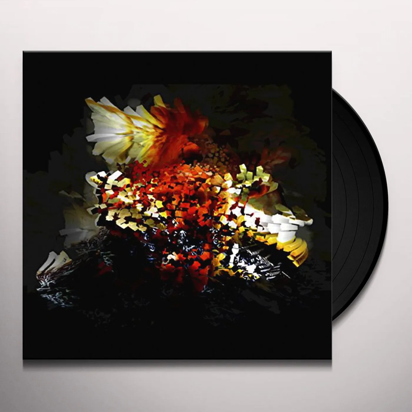 Bogus Order Bullnose Step Vinyl Record