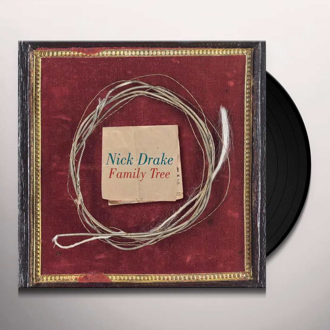 Nick Drake Family Tree Vinyl Record