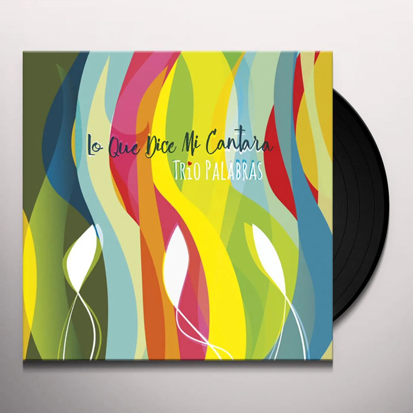 Trío Palabras LO QUE DICE MI CANTARA Vinyl Record