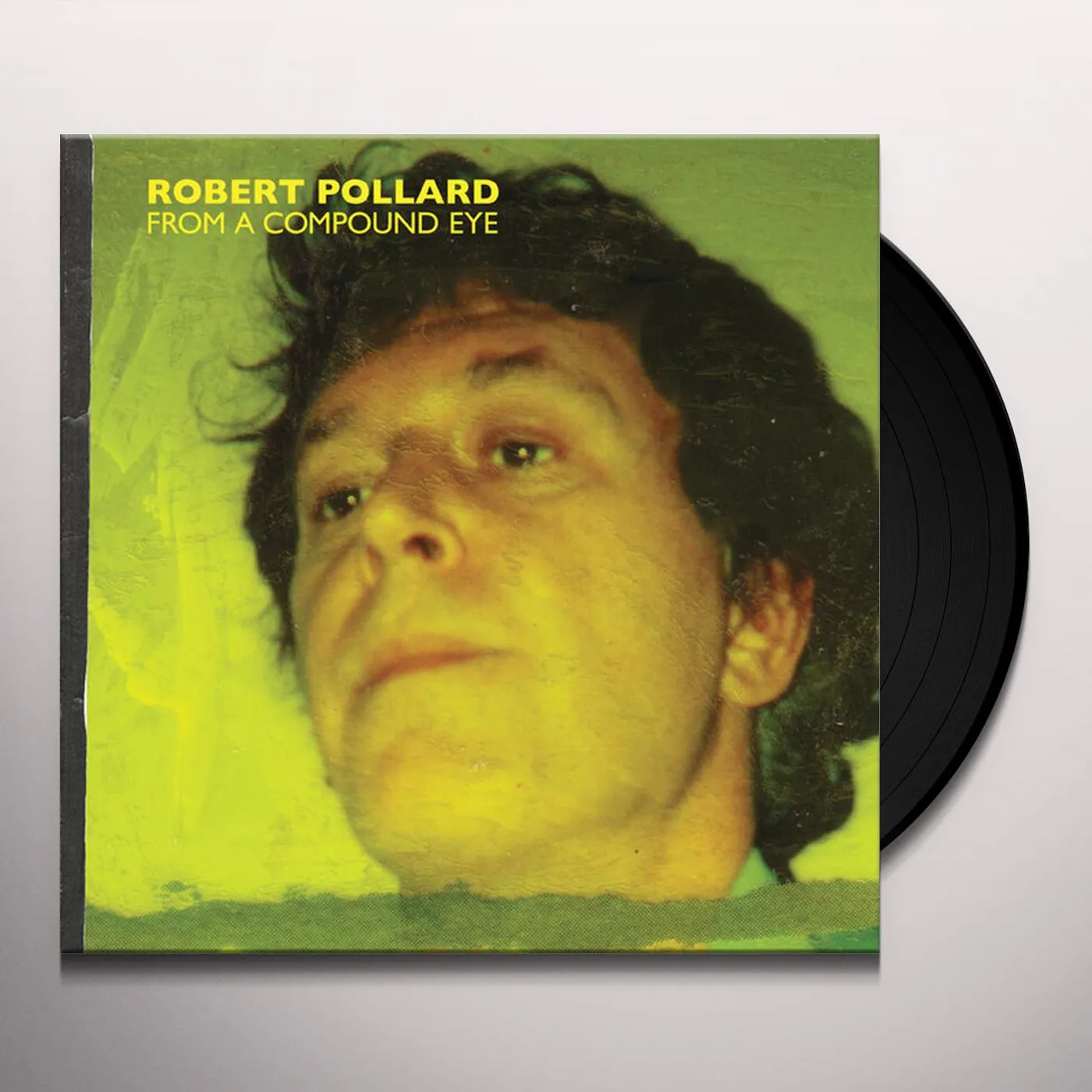Robert Pollard From a Compound Eye Vinyl Record