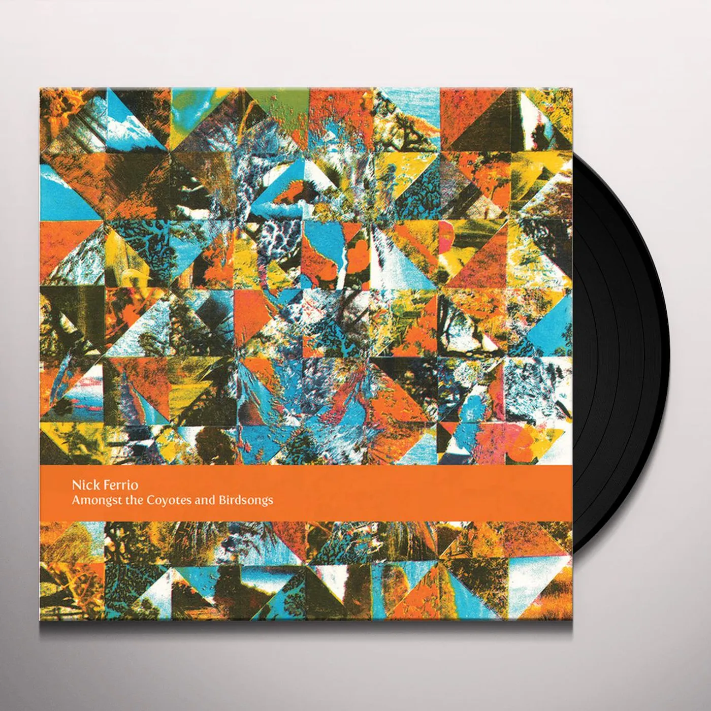 Nick Ferrio Amongst the Coyotes and Birdsongs Vinyl Record