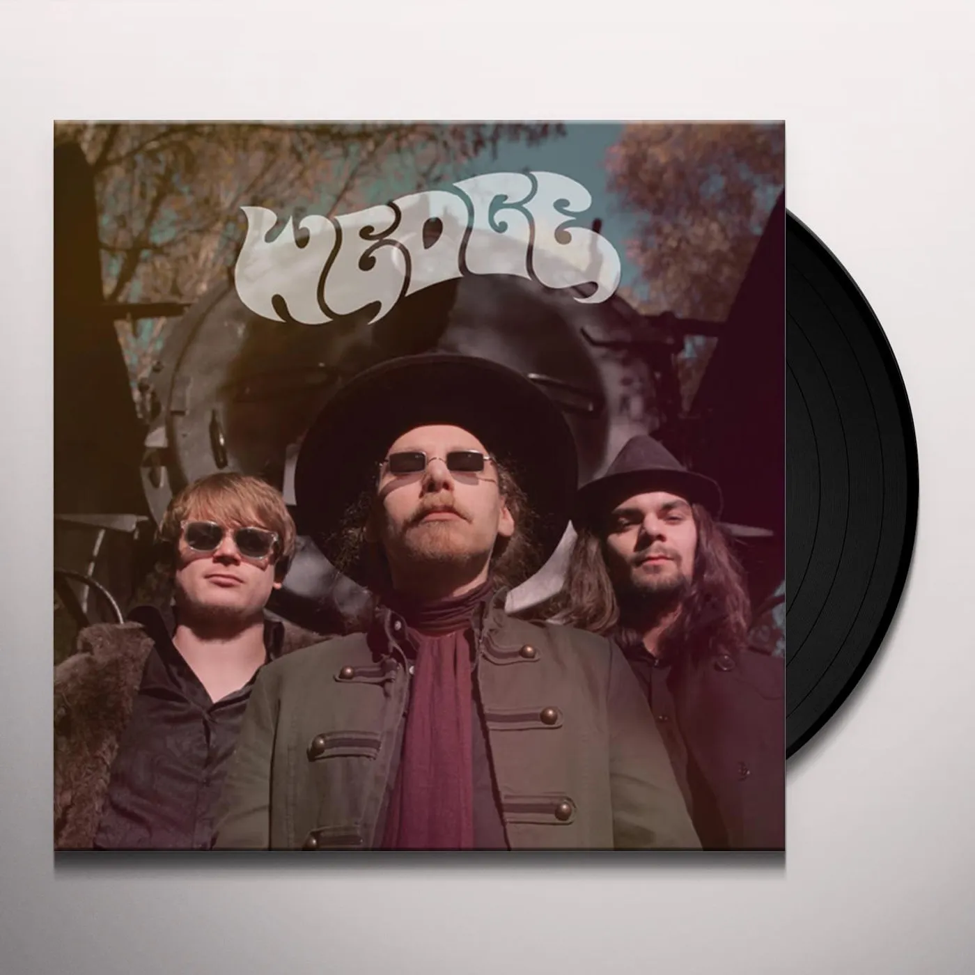Wedge Vinyl Record
