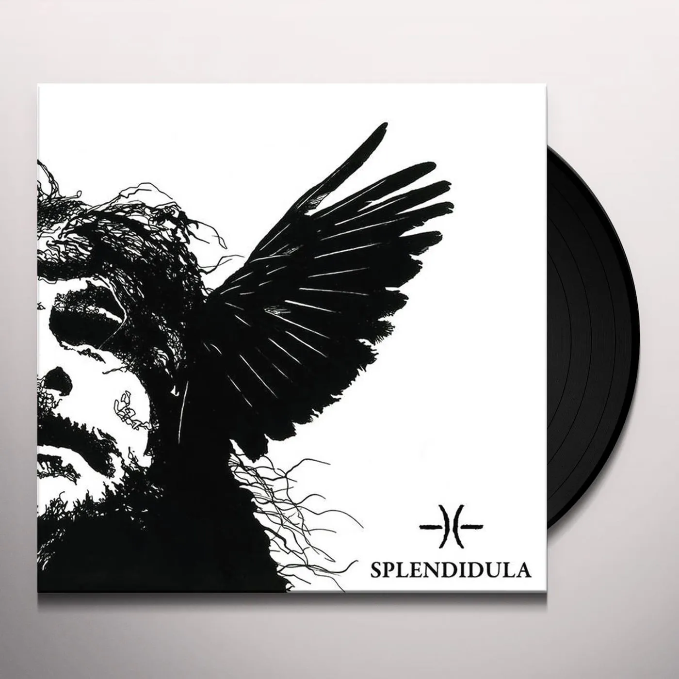 SPLENDIDULA Vinyl Record