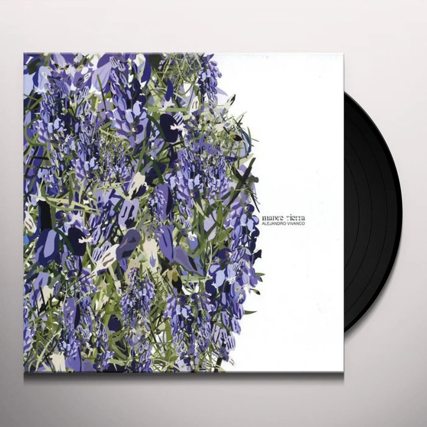 Alejandro Vivanco Madre Tierra Vinyl Record