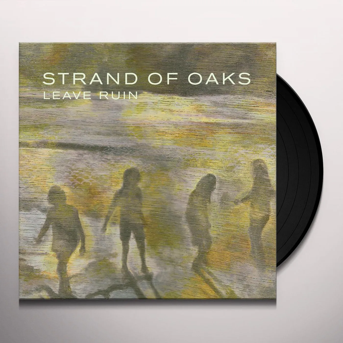 Strand of Oaks Leave Ruin Vinyl Record