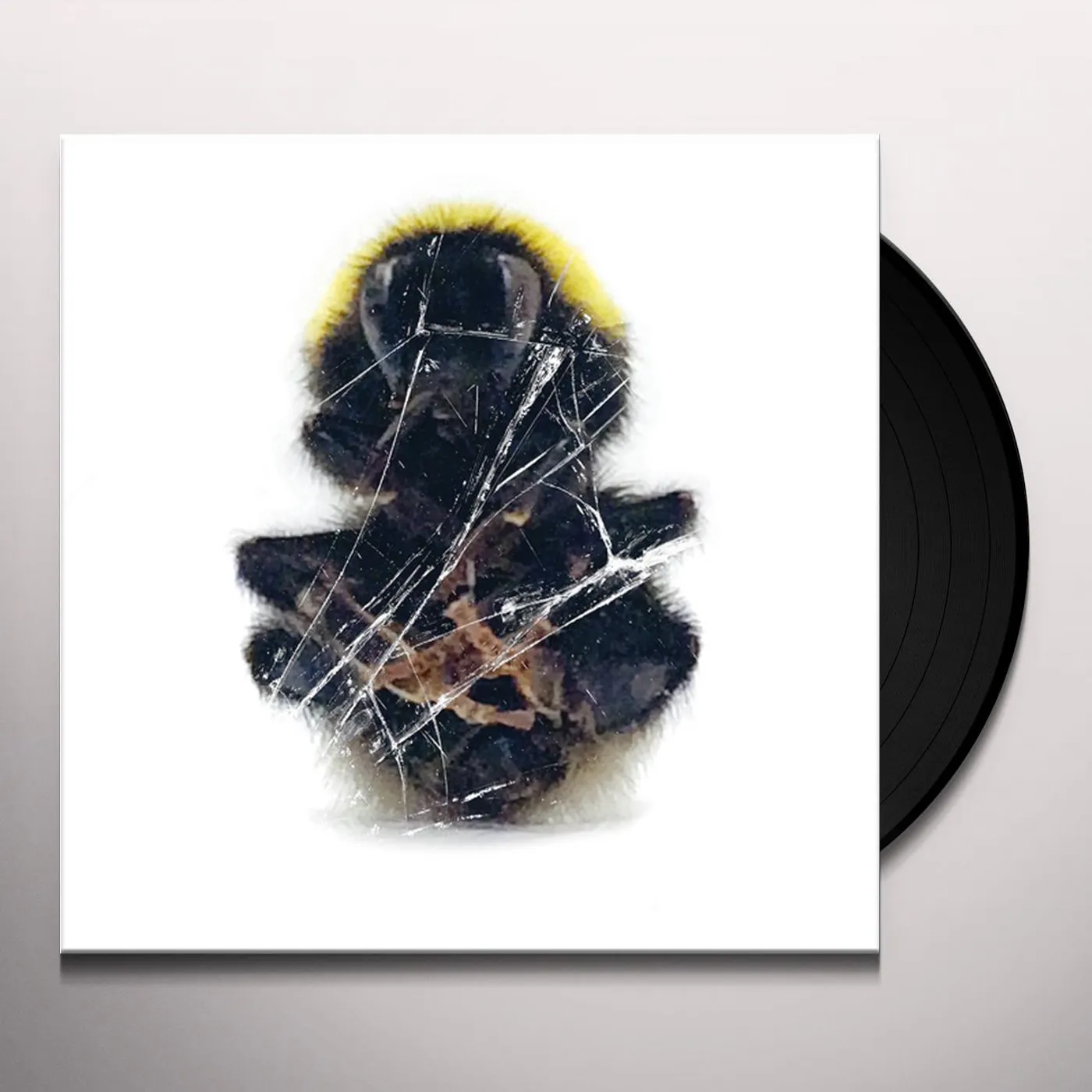 Deadbeat Walls and Dimensions Vinyl Record