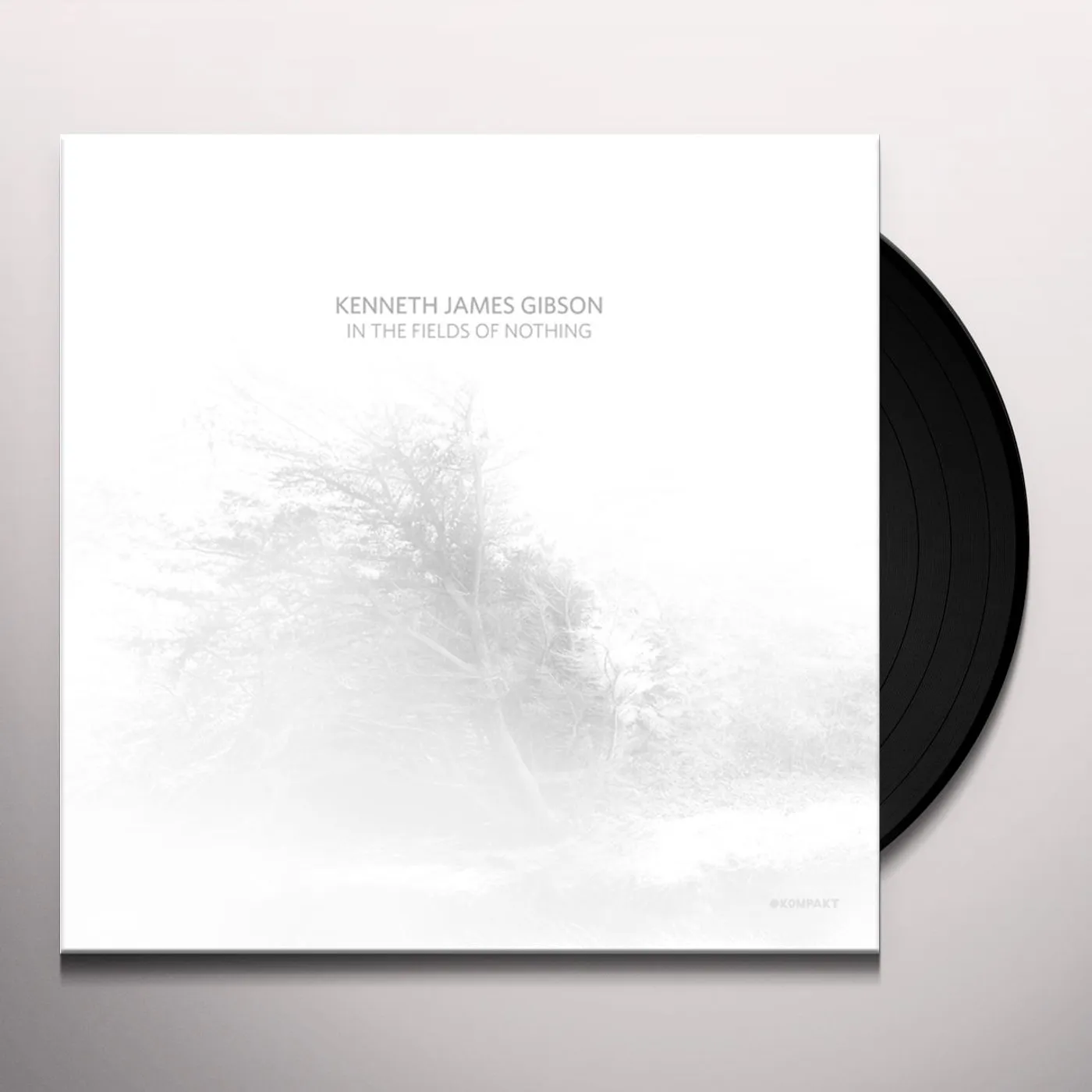 Kenneth James Gibson In The Fields Of Nothing Vinyl Record