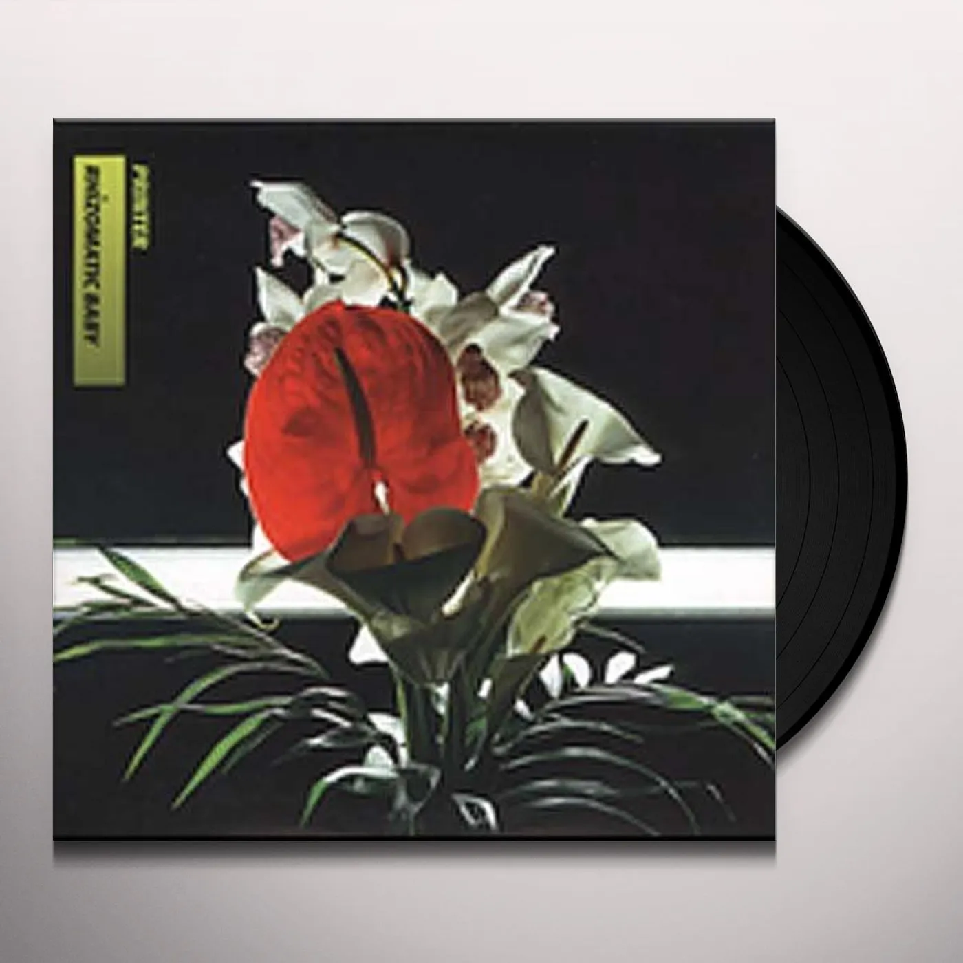Printer Rhizomatic Baby Vinyl Record