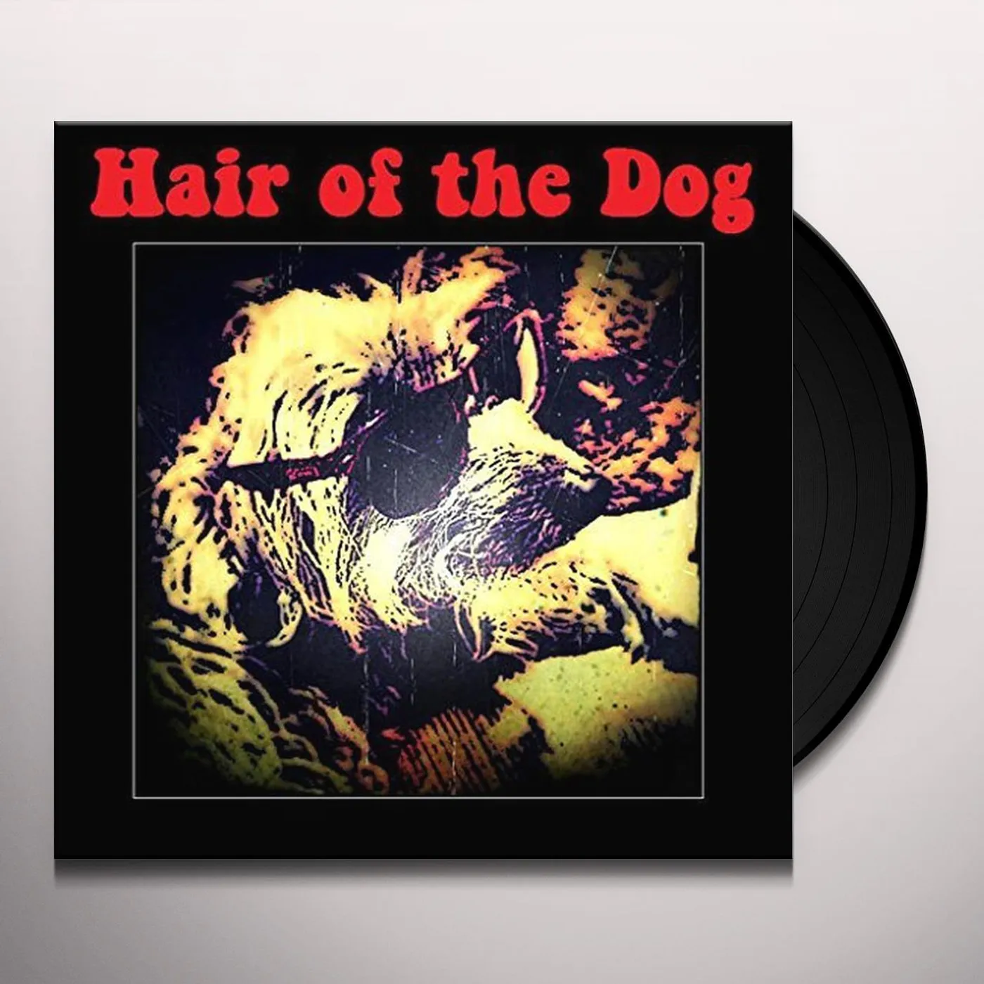 Hair Of The Dog Vinyl Record