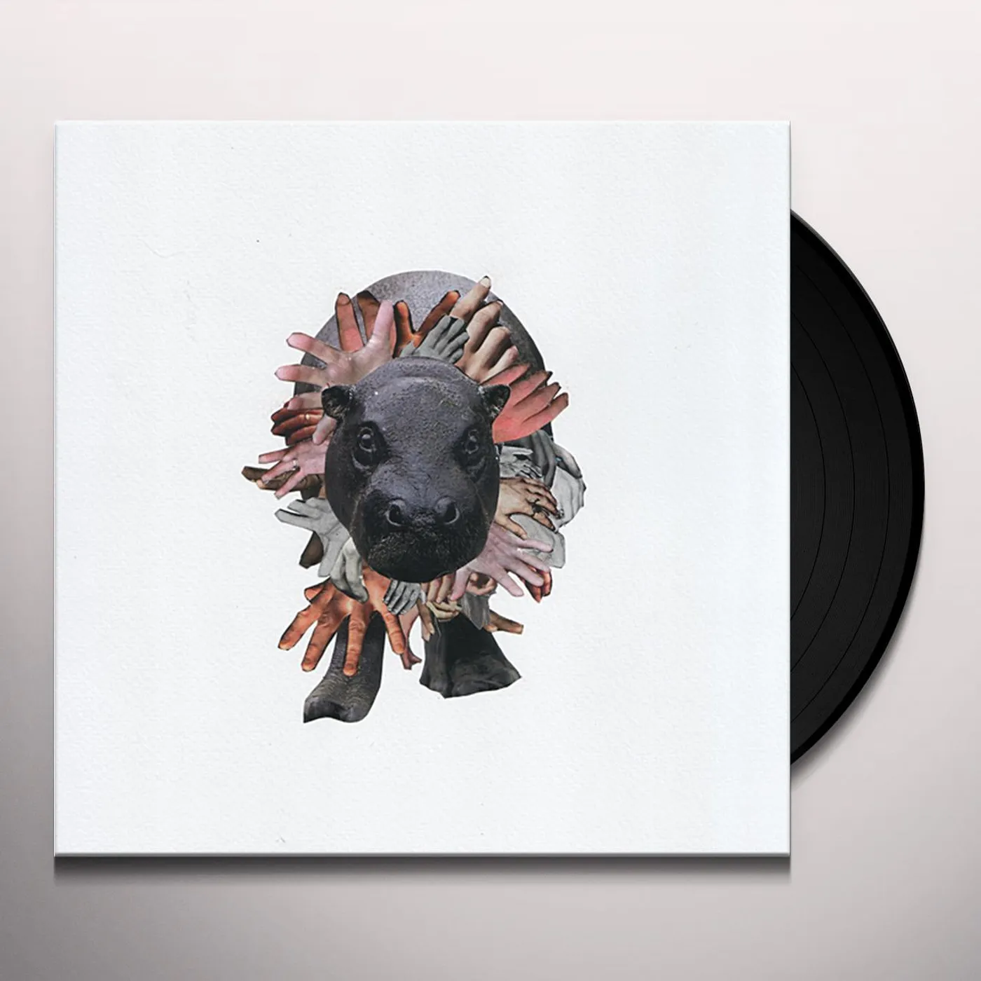 Sweet Williams Please Let Me Sleep On Your Tonight Vinyl Record