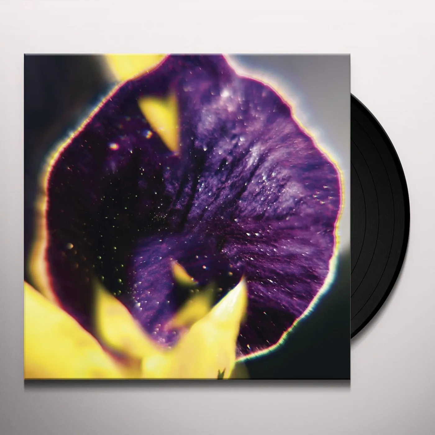 FIS From Patterns to Details Vinyl Record