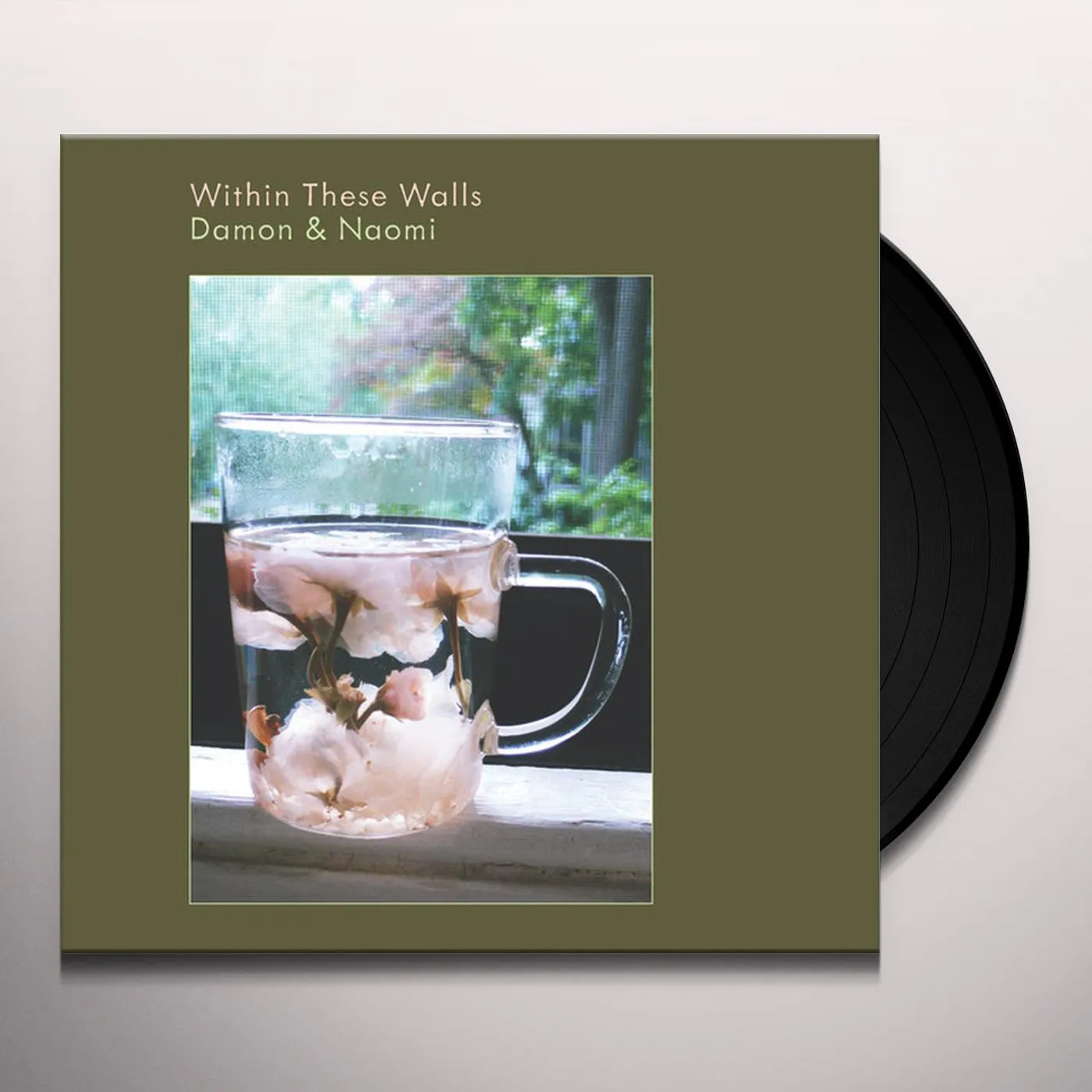 Damon & Naomi Within These Walls Vinyl Record