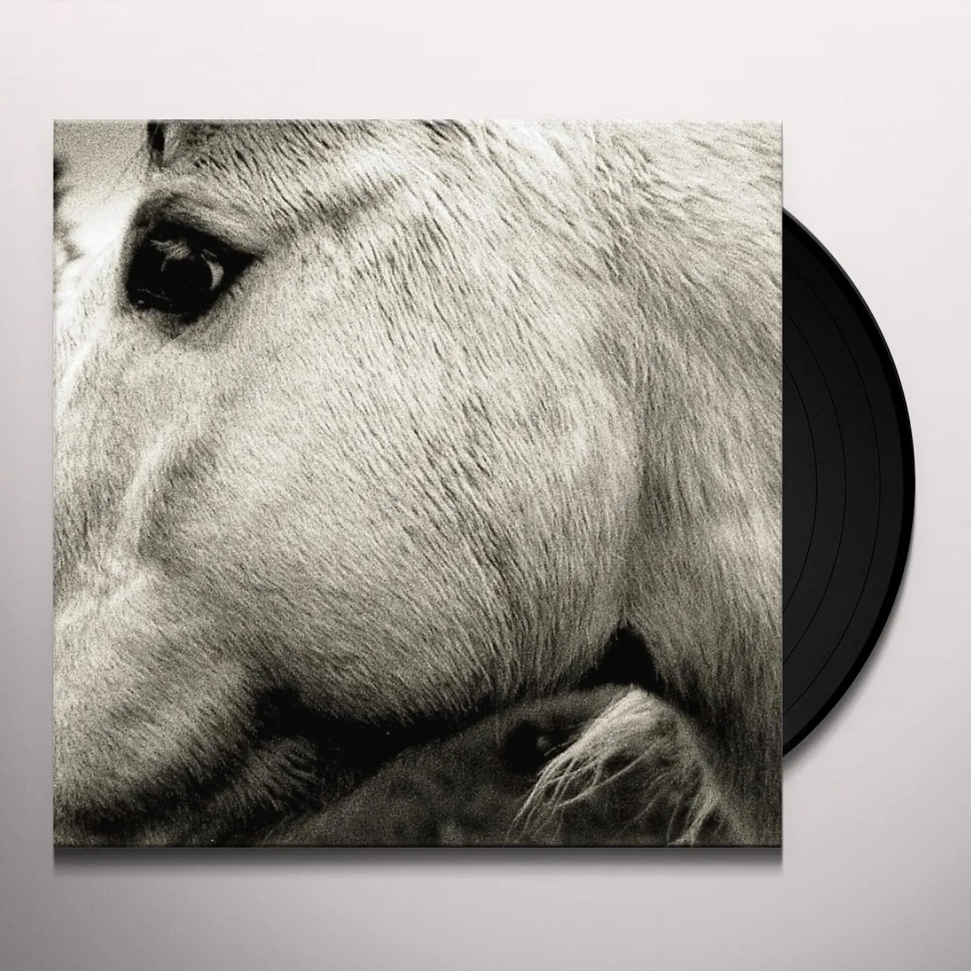 Bonny Light Horseman Vinyl Record