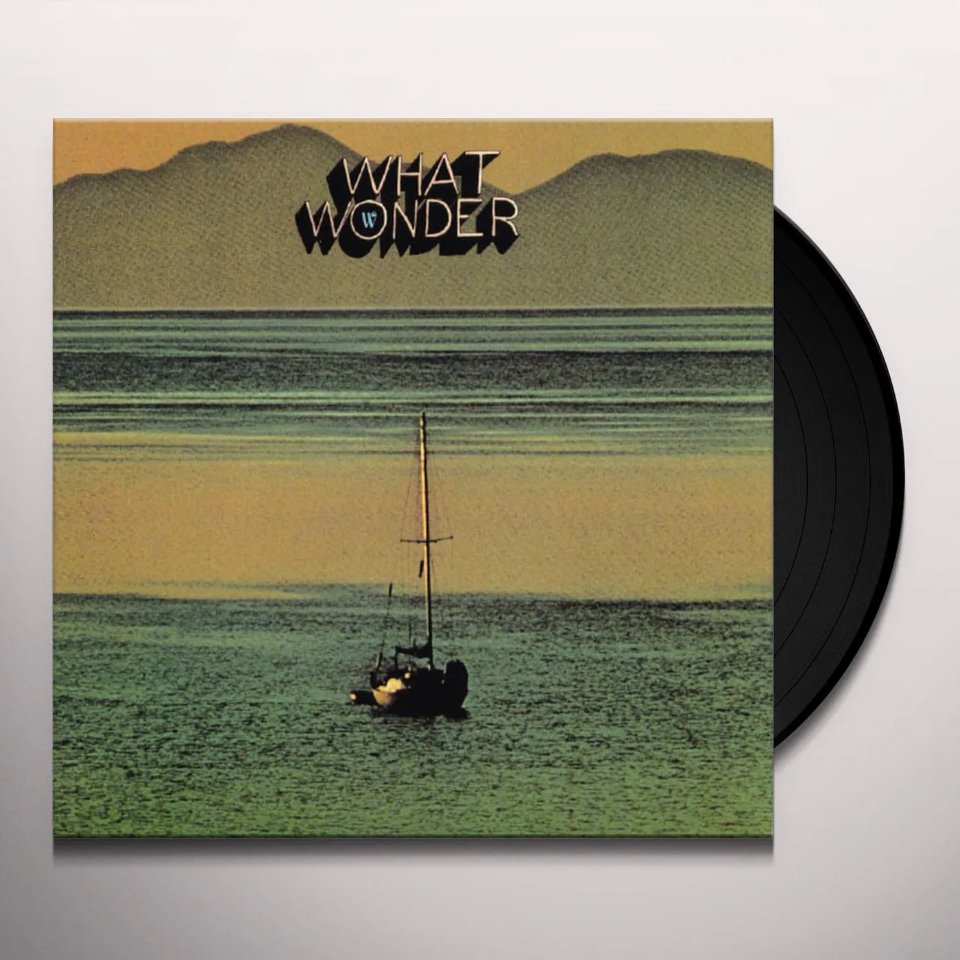 Little Wings WHAT WONDER Vinyl Record