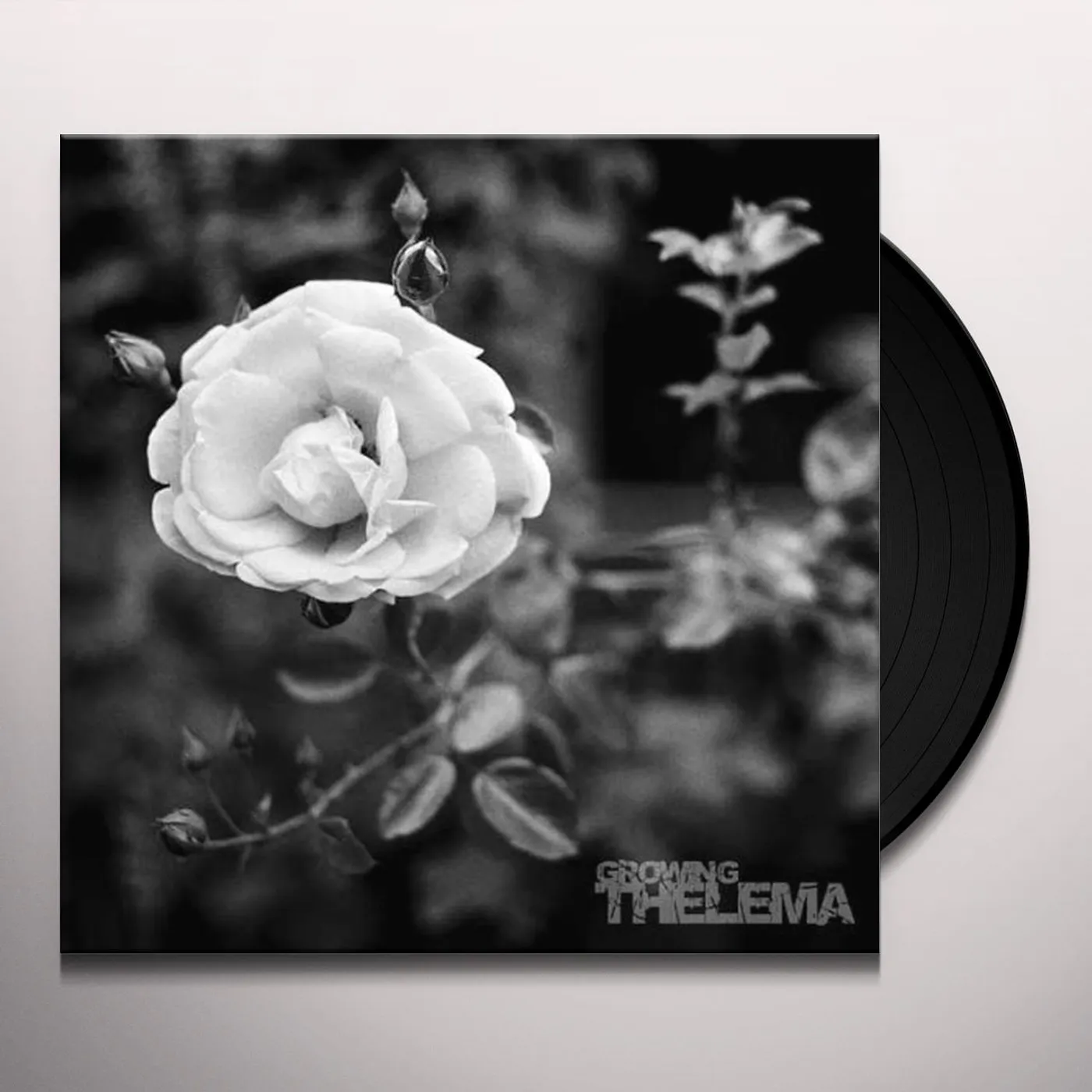 Thelma GROWING / Original Soundtrack Vinyl Record