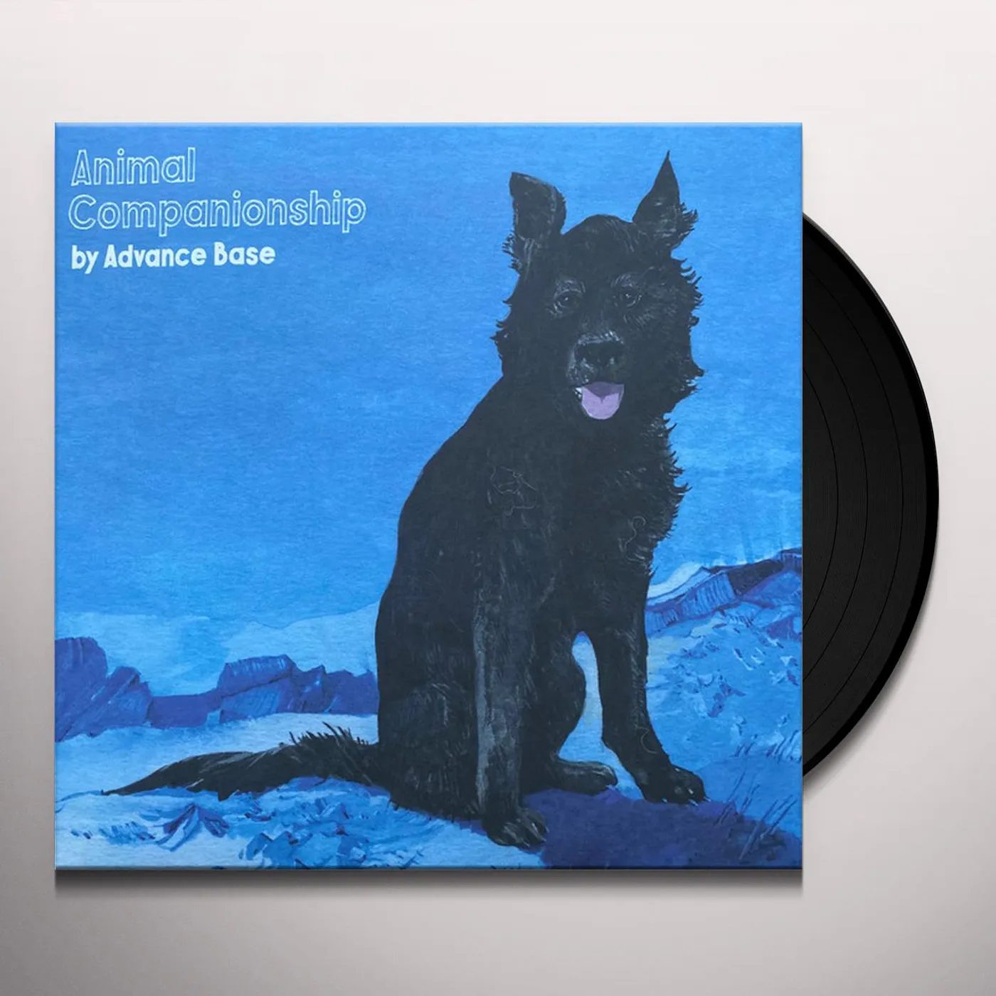 Advance Base Animal Companionship Vinyl Record