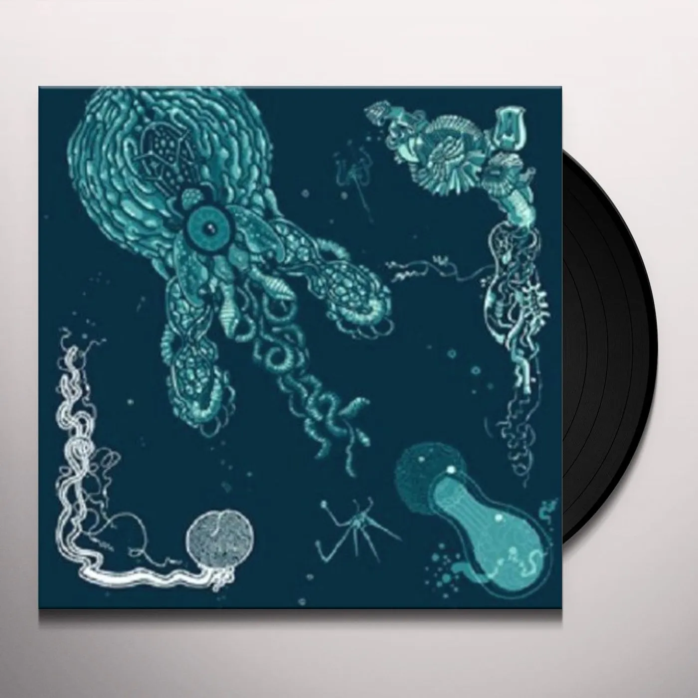 Shape Of Broad Minds Blue Experience Vinyl Record