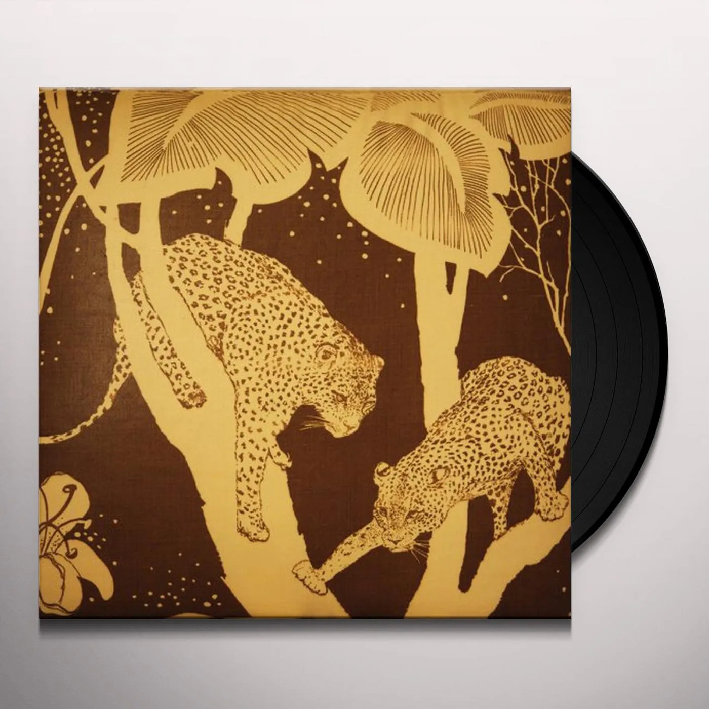 Langhorne Slim Vinyl Record