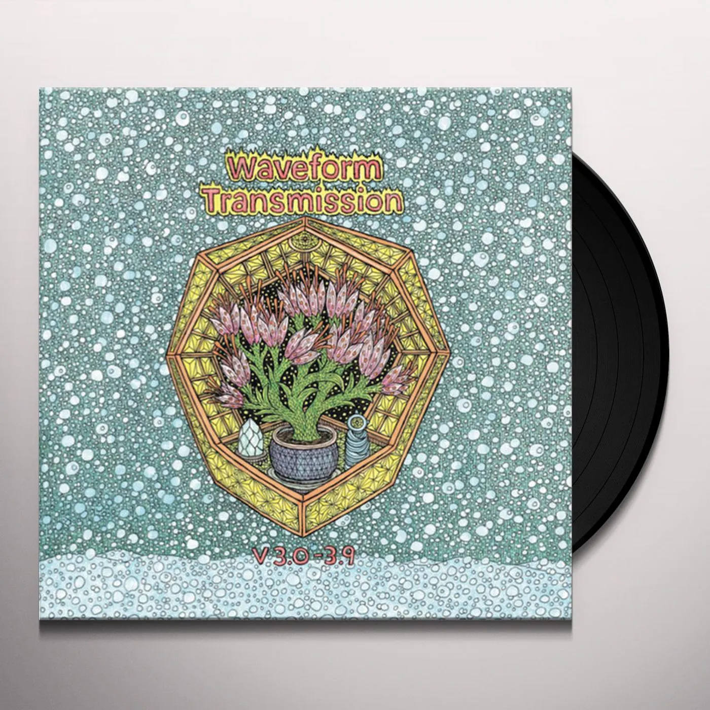 Waveform Transmission V 3.0 - 3.9 Vinyl Record