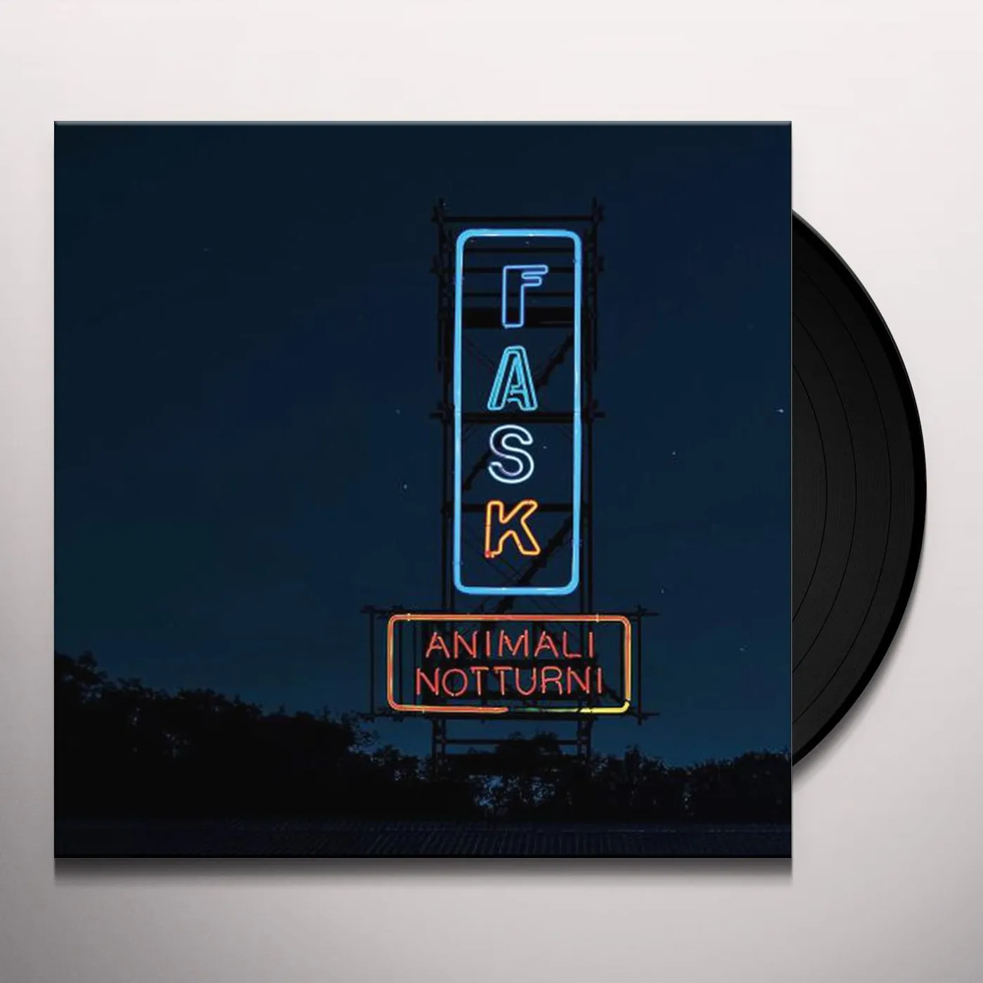 Fast Animals and Slow Kids Animali notturni Vinyl Record