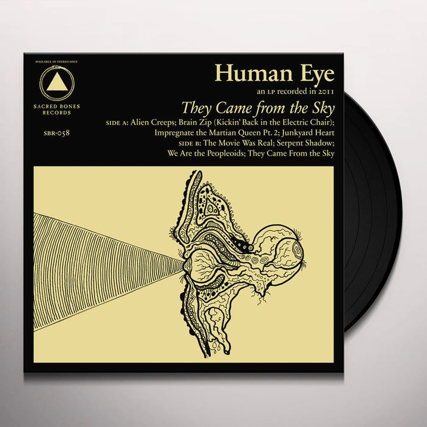 Human Eye They Came From the Sky Vinyl Record