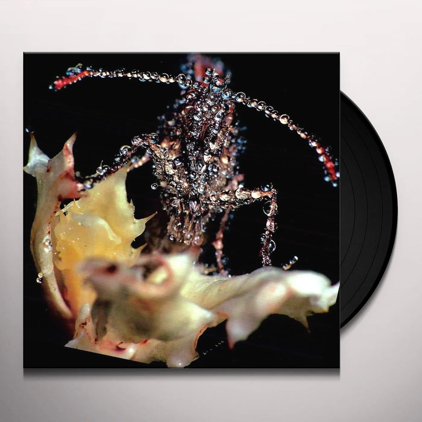 Gang Gang Dance Eye Contact Vinyl Record