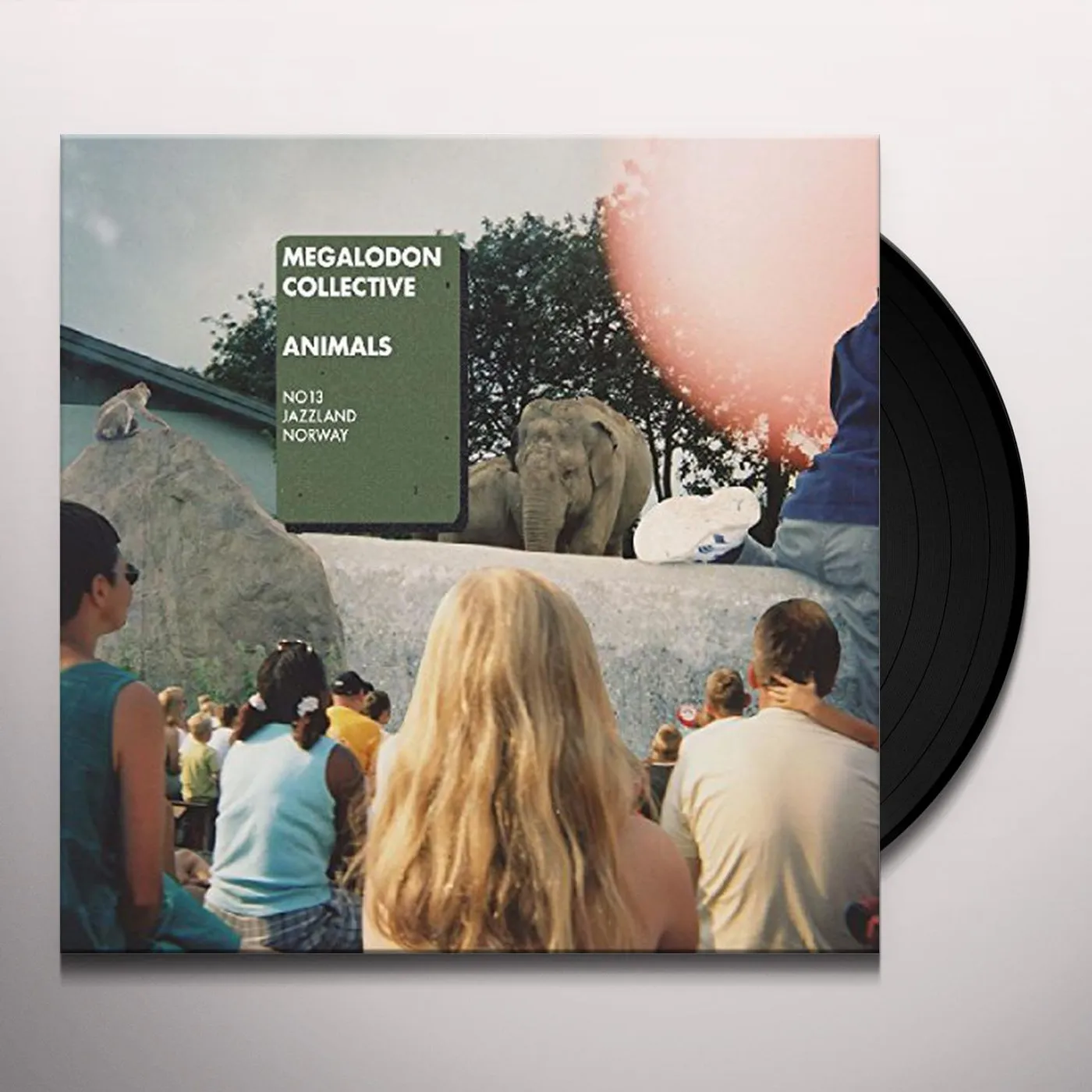 Megalodon Collective Animals Vinyl Record