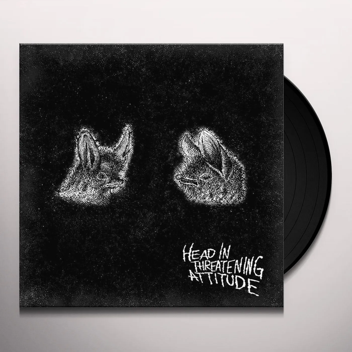 Natterers Head in Threatening Attitude Vinyl Record