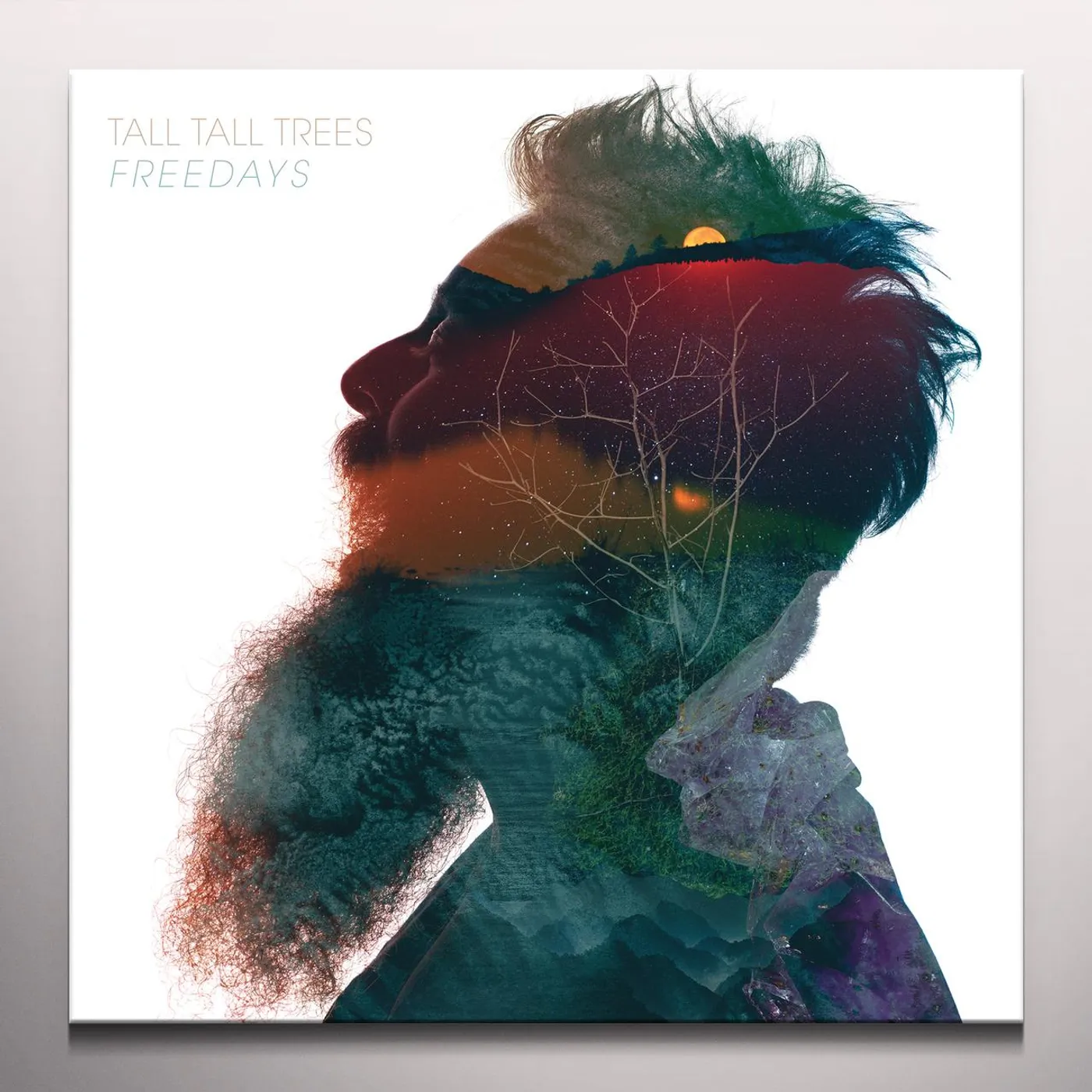 Tall Tall Trees Freedays Vinyl Record