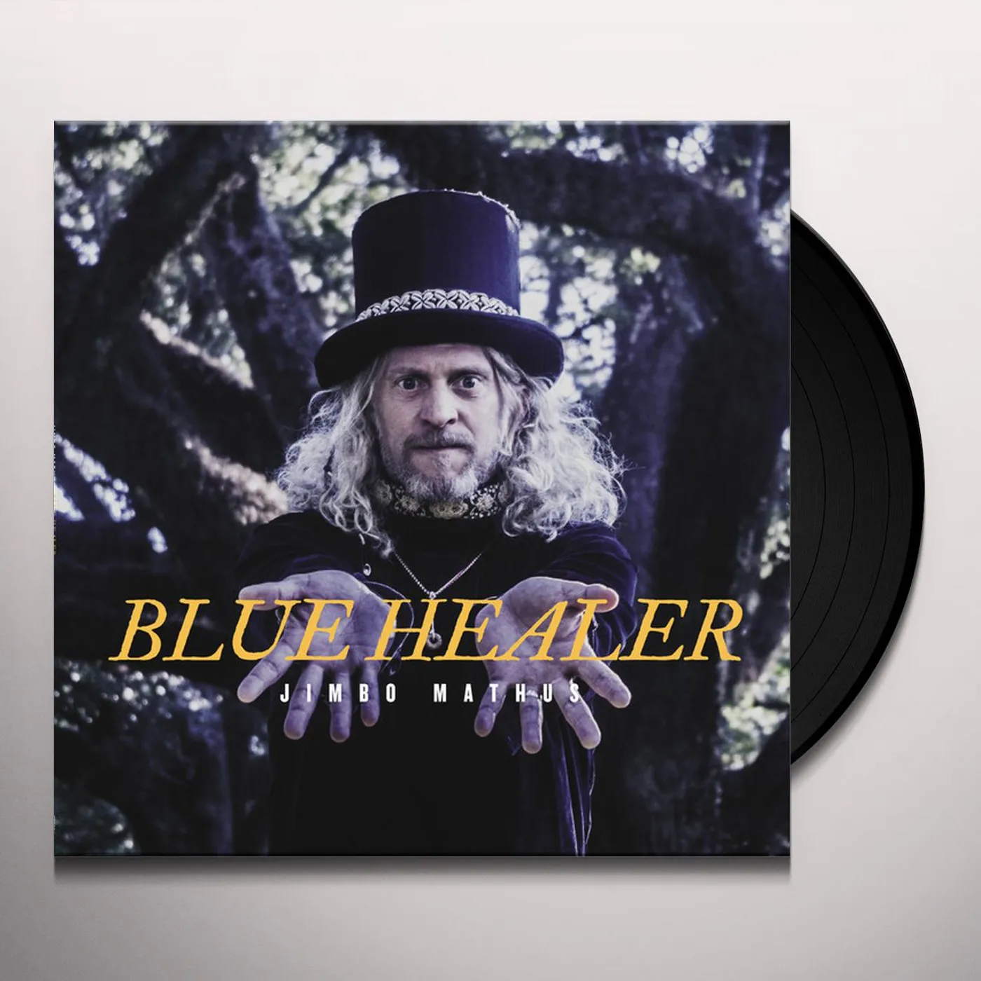 Jimbo Mathus Blue Healer Vinyl Record
