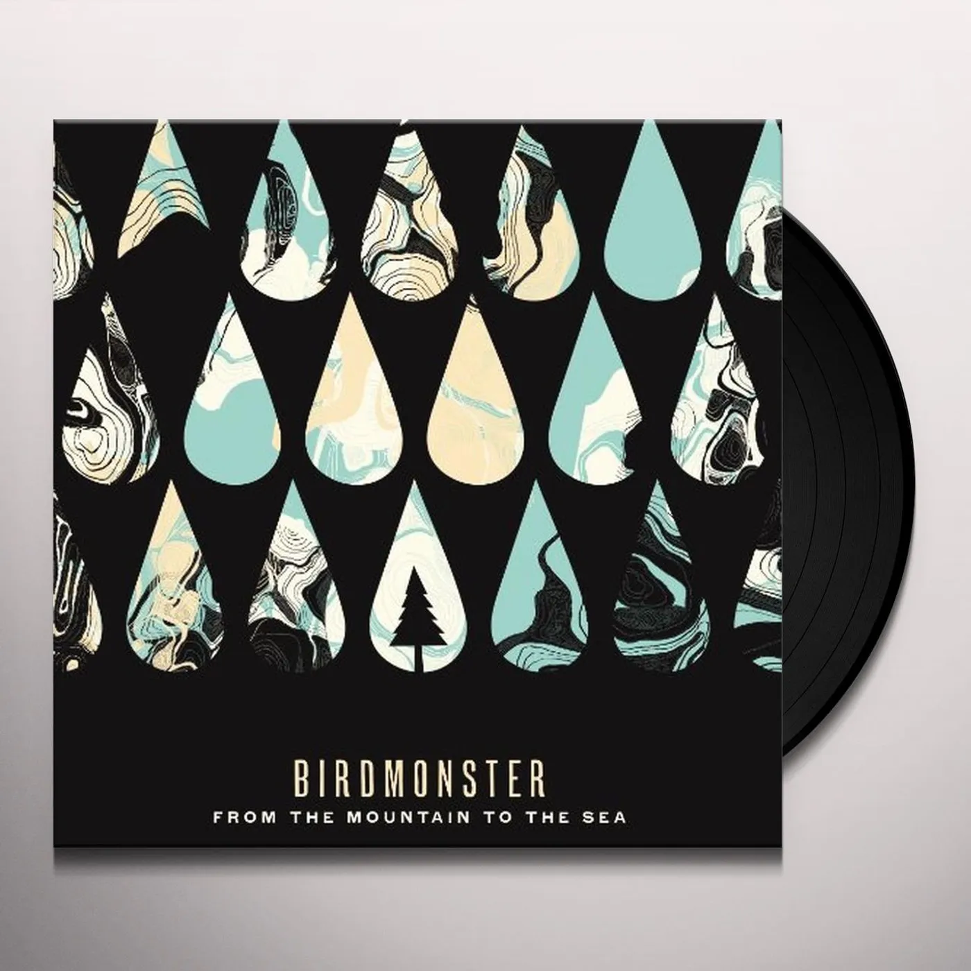 Birdmonster From The Mountain To The Sea Vinyl Record