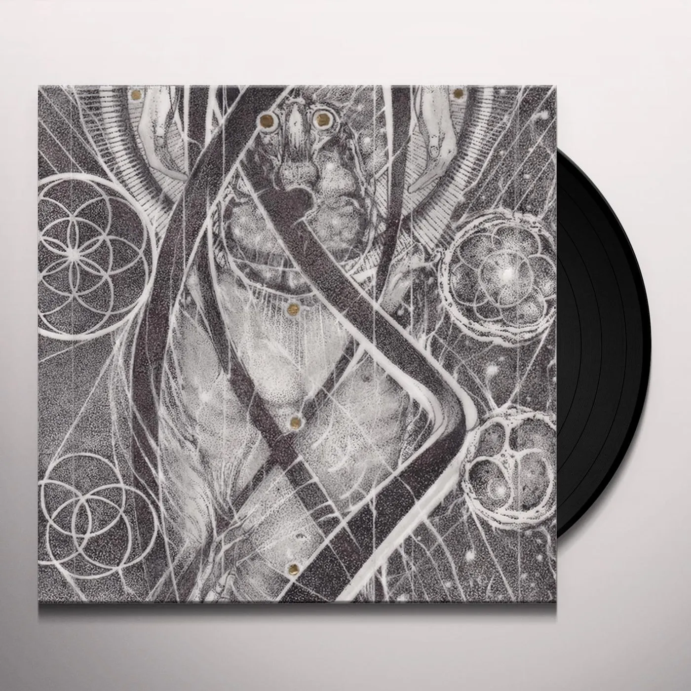 Cynic Uroboric Forms: The Complete Demo Recordings Vinyl Record