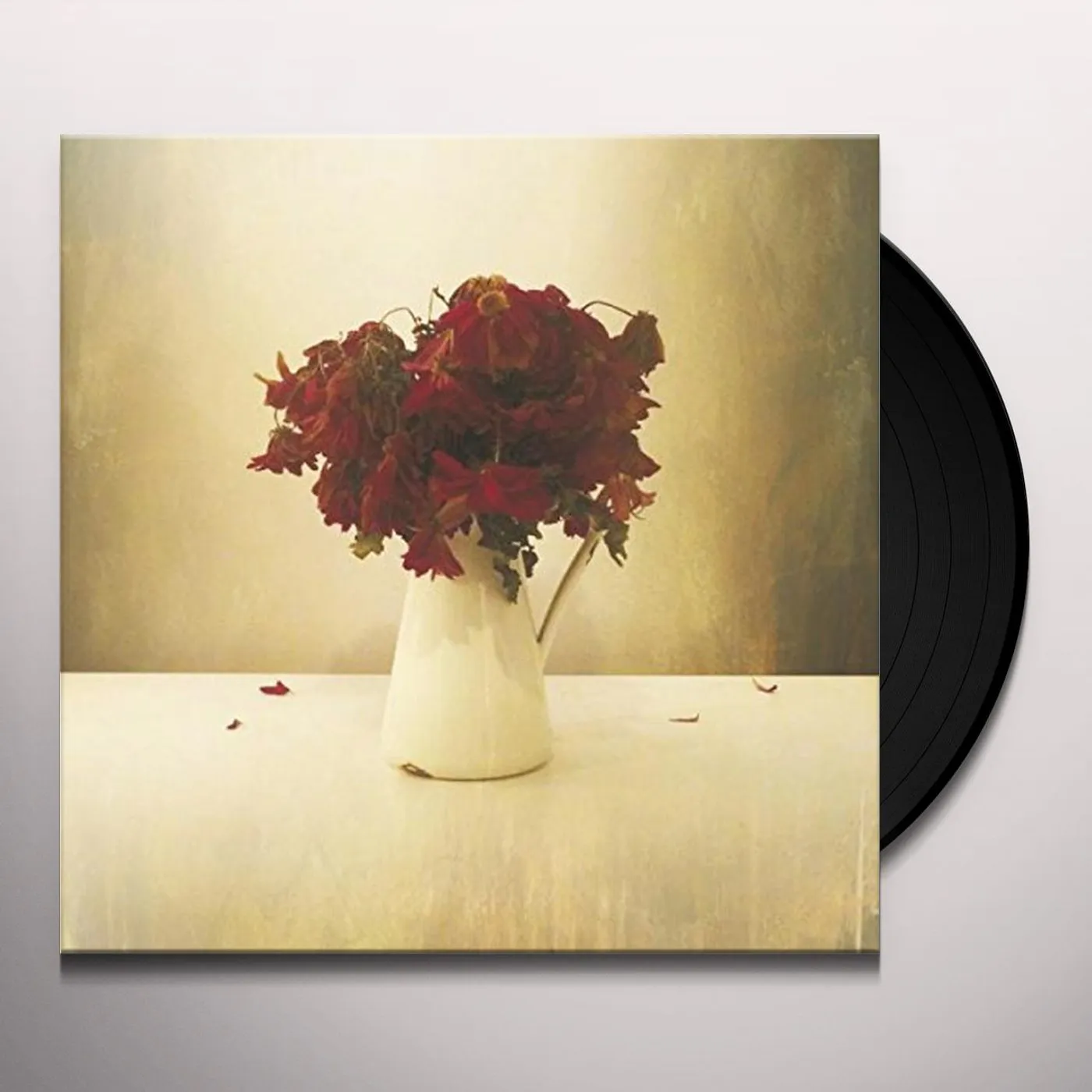 The Lion And The Wolf CARDIAC HOTEL Vinyl Record