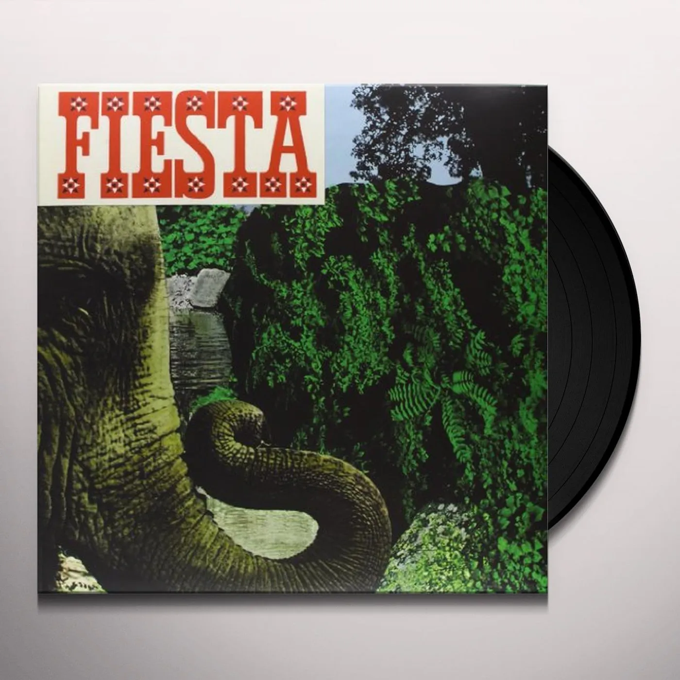 The Go Fiesta Vinyl Record