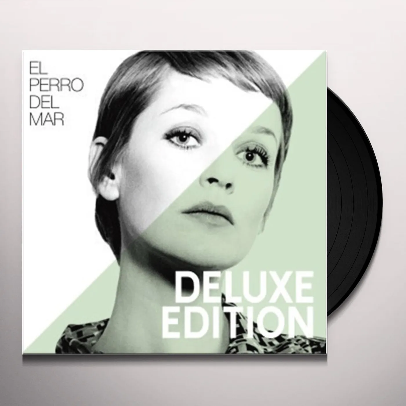 El Perro Del Mar Vinyl Record