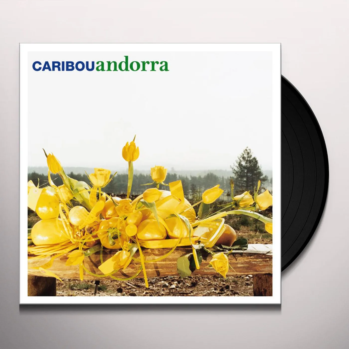 Caribou Andorra Vinyl Record