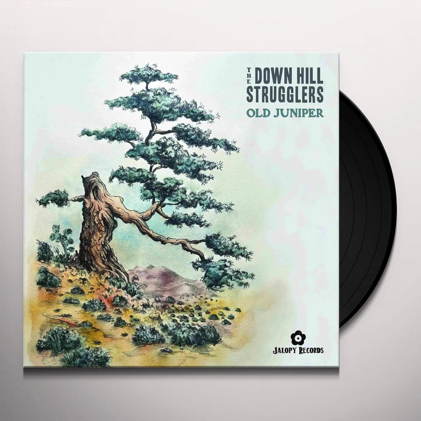 The Down Hill Strugglers Old Juniper Vinyl Record