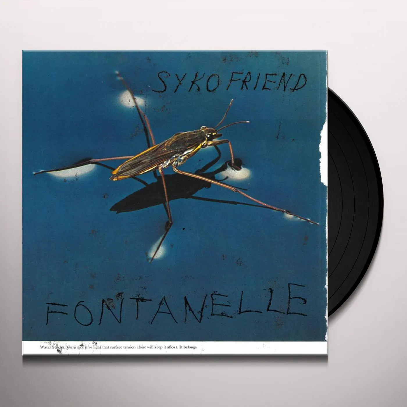 Syko Friend Fontanelle Vinyl Record