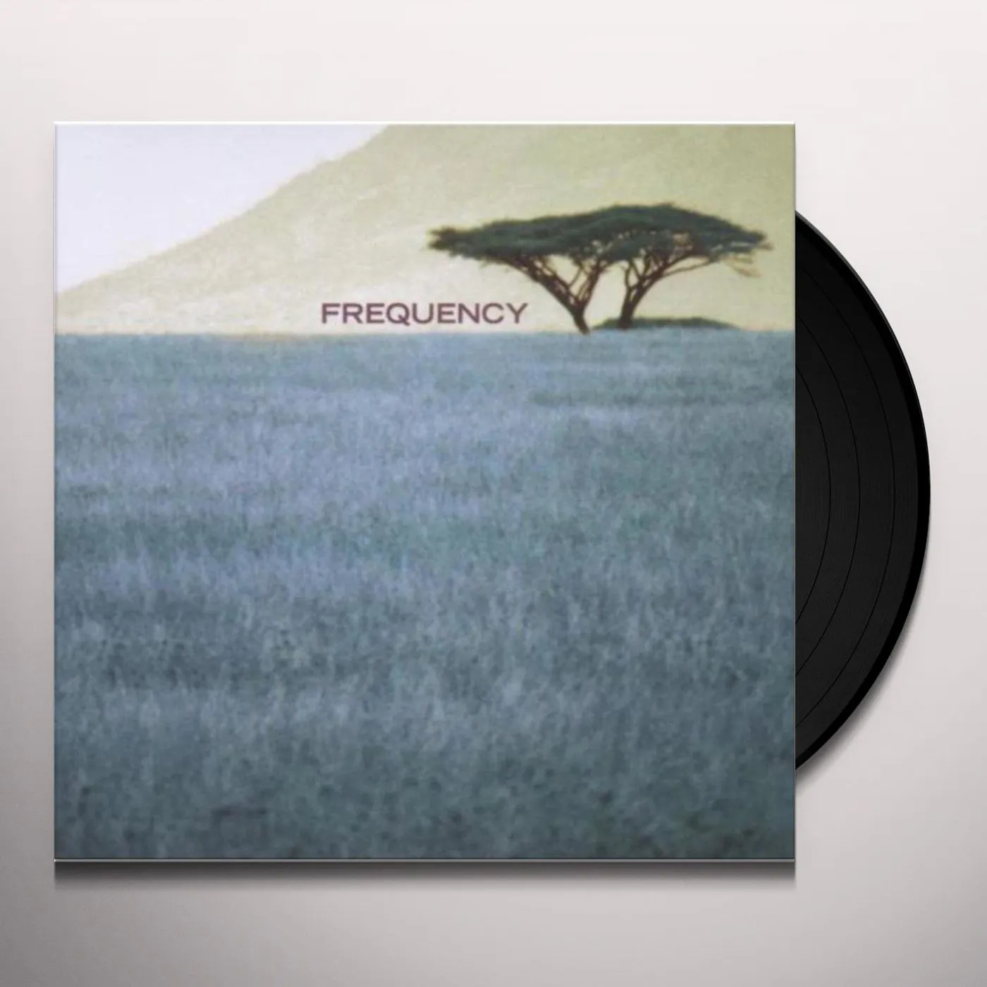 Glenn Jones Fleeting Vinyl Record
