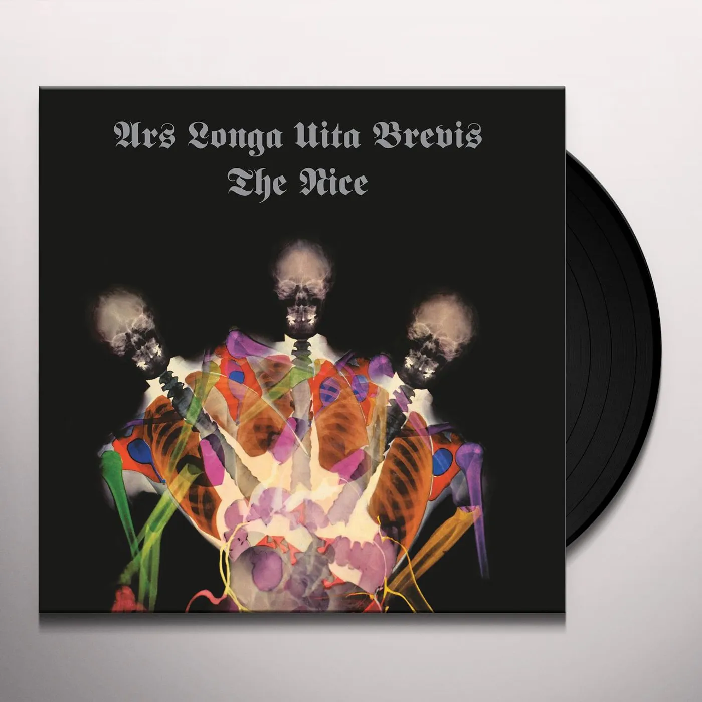 Nice ARA LONGA VITA BREVIS Vinyl Record