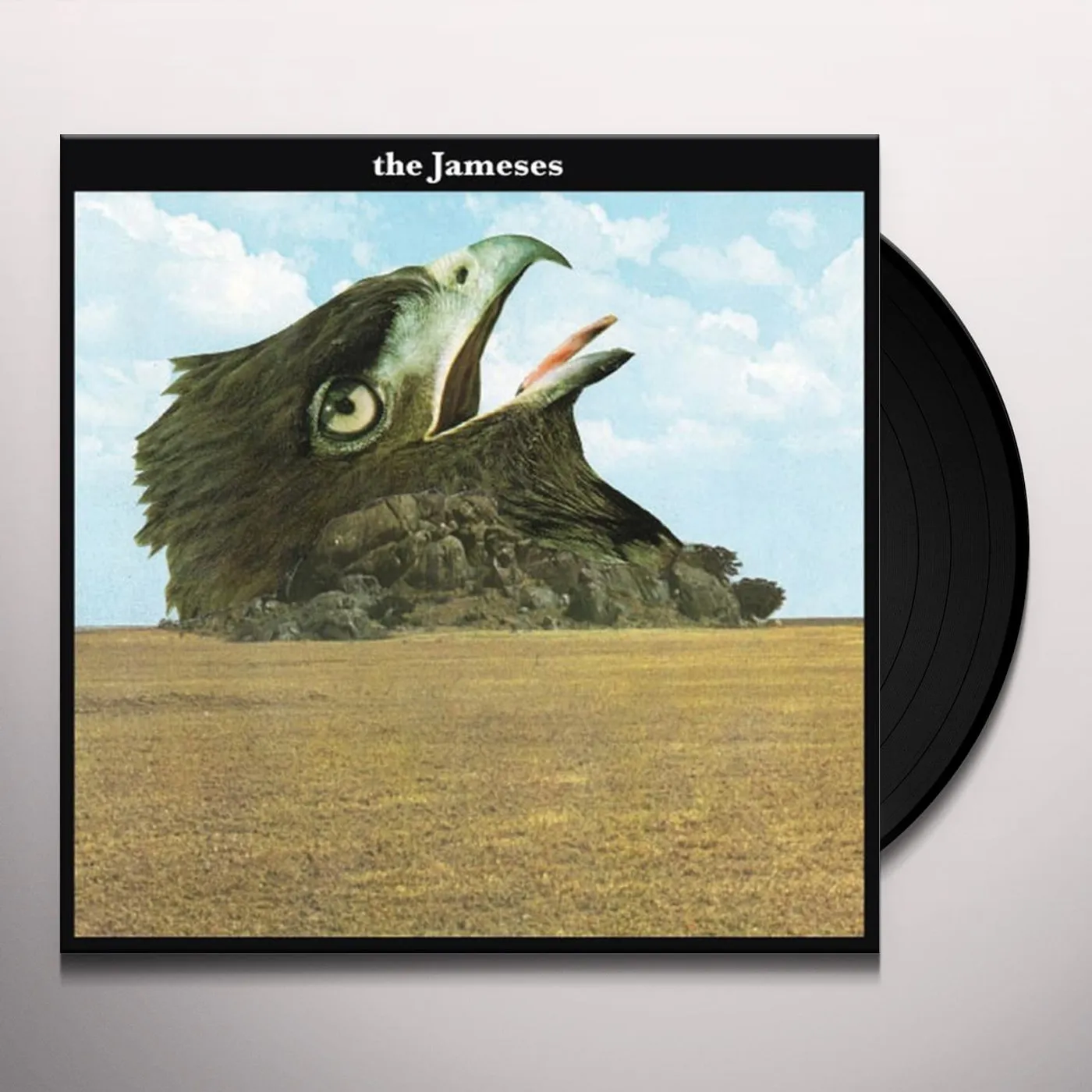 The Jameses Caribou Vinyl Record