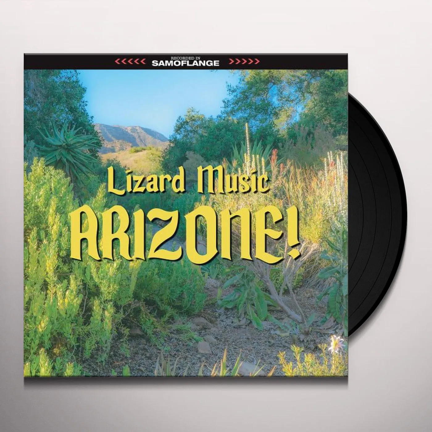 Lizard Music ARIZONE! Vinyl Record