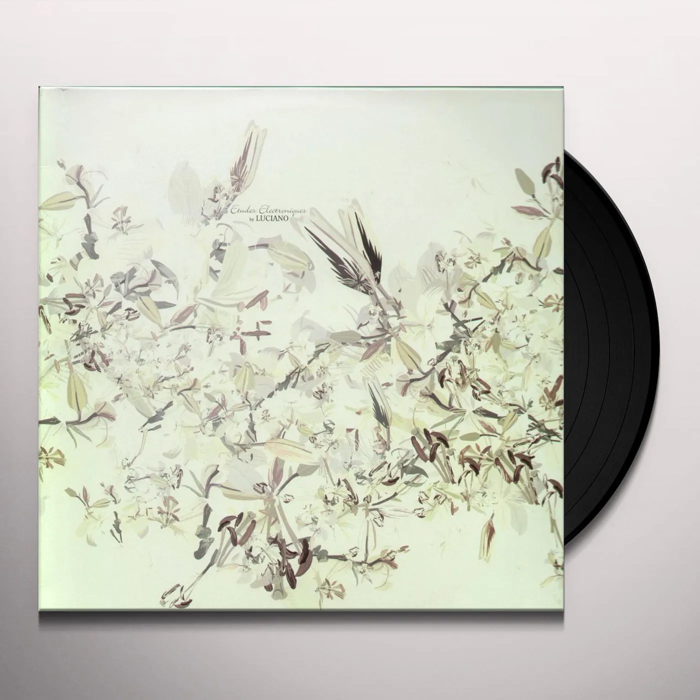 Luciano Etudes Electroniques Vinyl Record