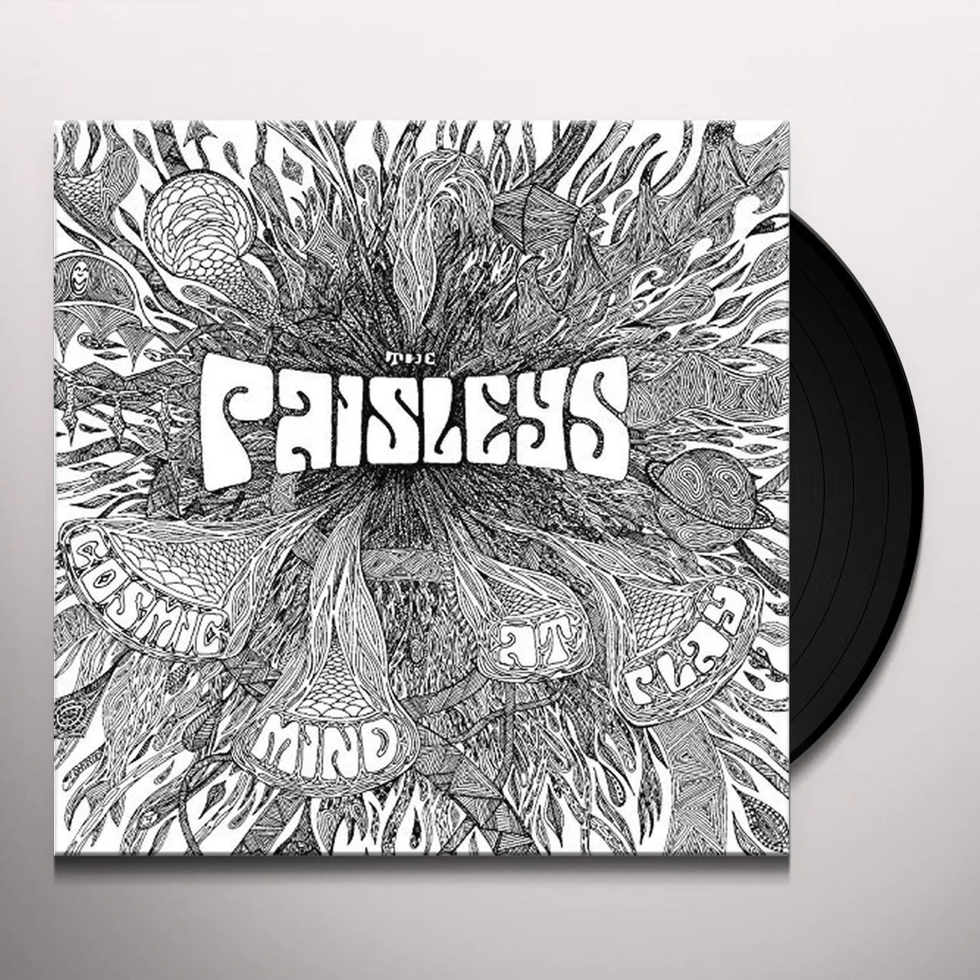Paisley Cosmic Mind At Play Vinyl Record
