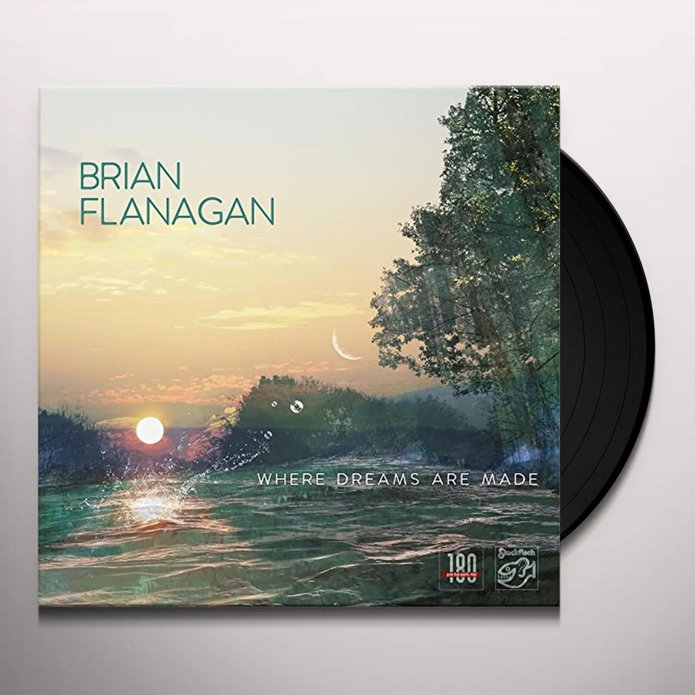 Brian Flanagan Where Dreams Are Made Vinyl Record