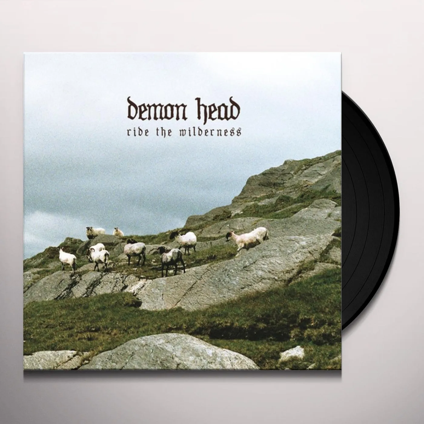 Demon Head Ride the Wilderness Vinyl Record
